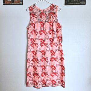 NWT Donna Ricco Strawberries & Cream Pink Sheer Embroidered Fit-and-Flare Dress